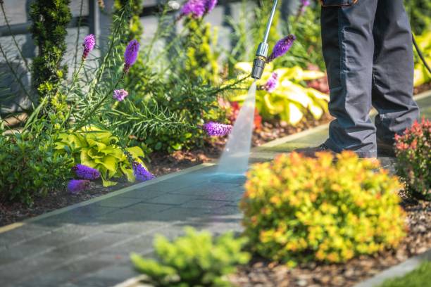 Best Pre-Holiday Cleaning  in Albany, OR